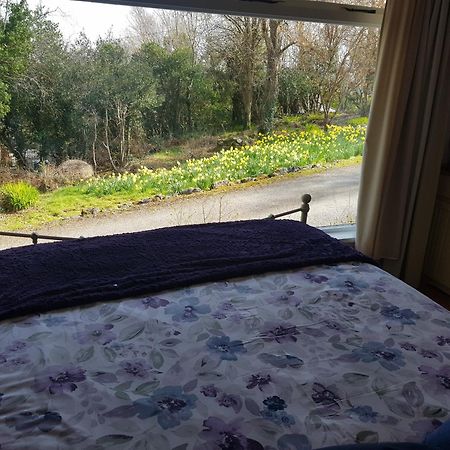 Hollybanks Appartement Moycullen Kamer foto