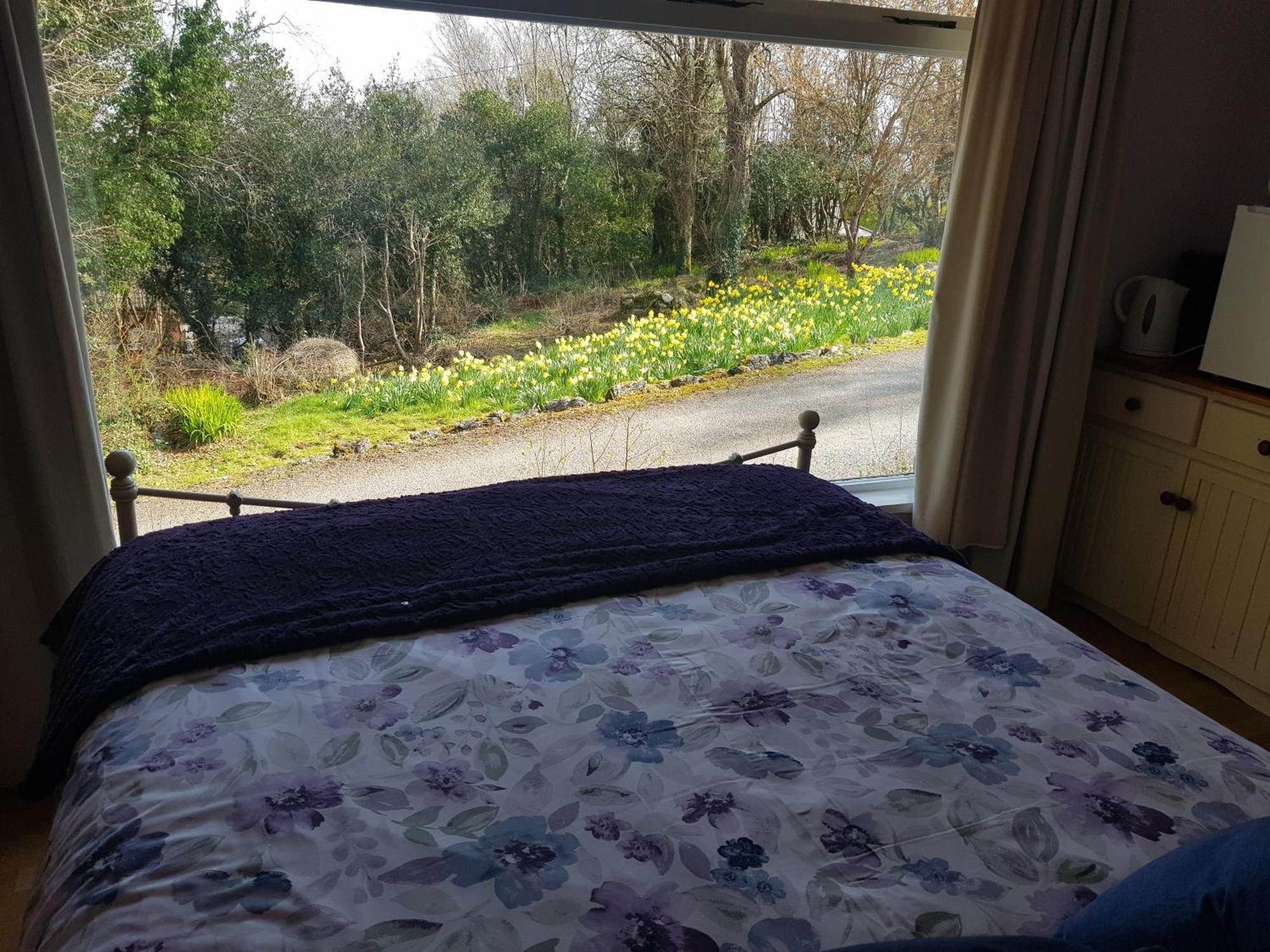 Hollybanks Appartement Moycullen Kamer foto